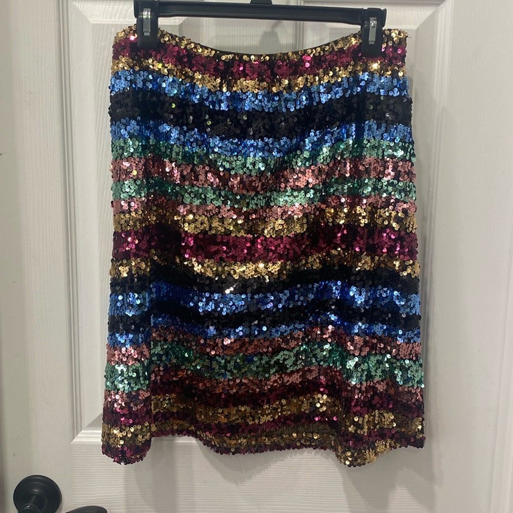Sequin Skirt